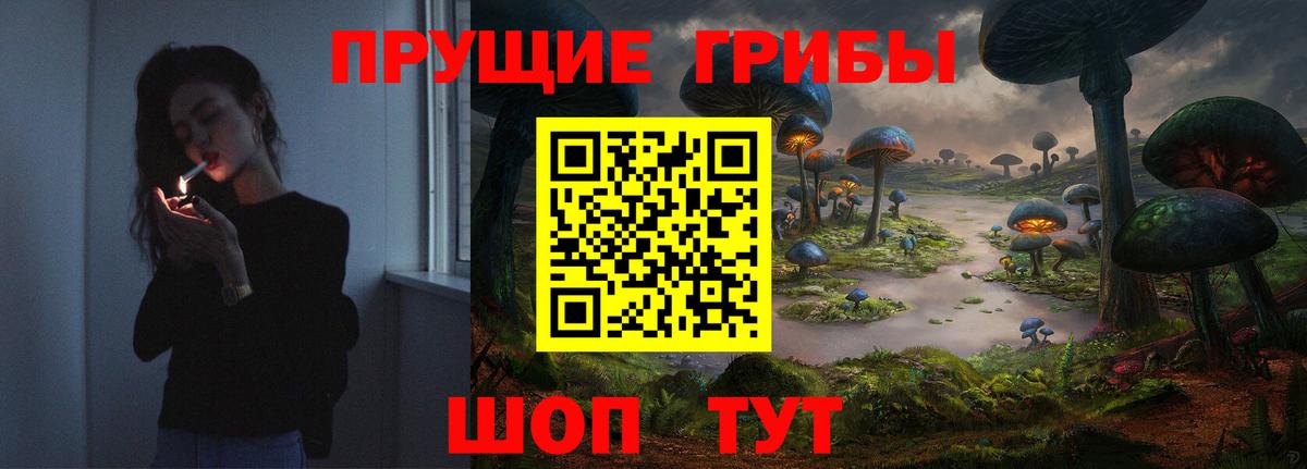 даркнет сайт  Вход с VPN  Жигулёвск  Псилоцибиновые грибы мицелий  Галлюциногенные грибы Cubensis 