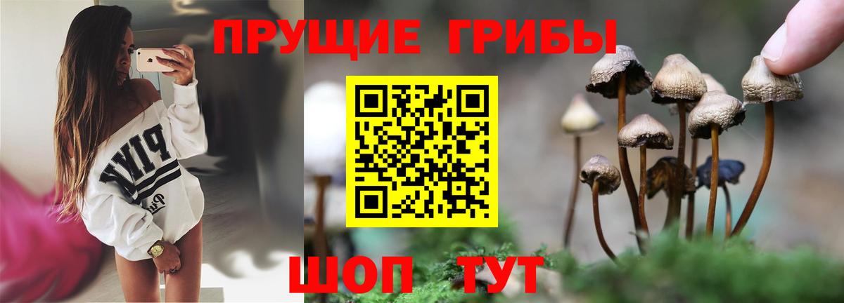 Меф   Гашиш  Жигулёвск  МЕФ  Вход с VPN  ЭКСТАЗИ  ГАШ  Кокаин 